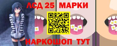 сатива Тверь