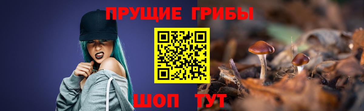 Галлюциногенные грибы мицелий Алексеевка
